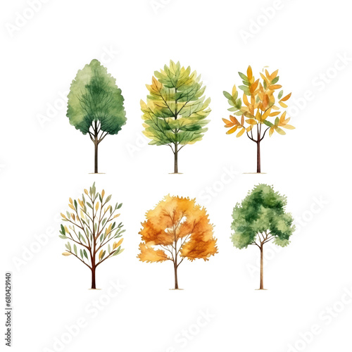 Autumn tree watercolor Set clipart isolated transparent background crop picture use. PNG 300 DPI