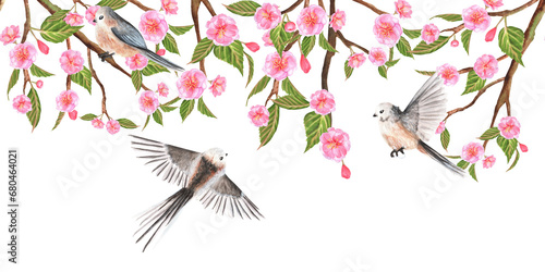 Hand-drawn watercolor illustration. Floral seamless border with sakura flowers, buds, leaves and long-tailed tits