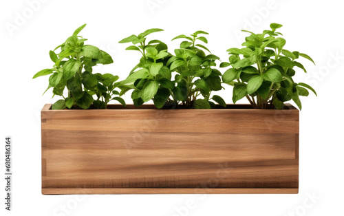 Wooden Planter on White or PNG Transparent Background.