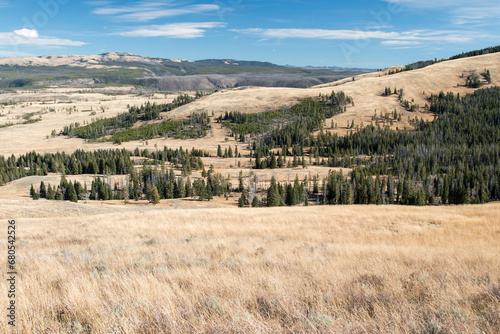 autumn view from Grand Loop Road near Mount Washburn, Yellowstone National Park, Wyoming, USA