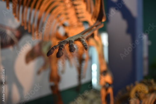 dinosaur bone decoration