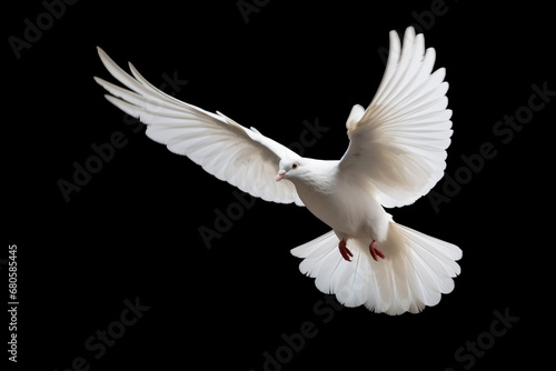 A white dove in mid-flight, wings outstretched against a black background