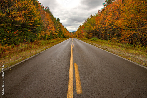 road in autumn forest