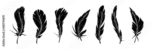 Set of bird feather silhouettes. Vector graphics.