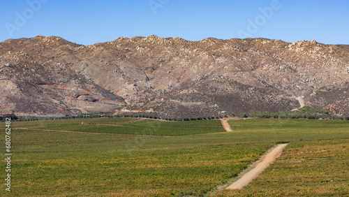 Valle de Guadalupe, Baja California, México