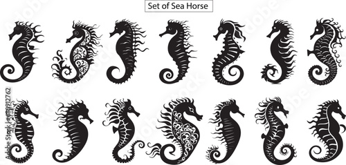 Set of sea horse silhouette,