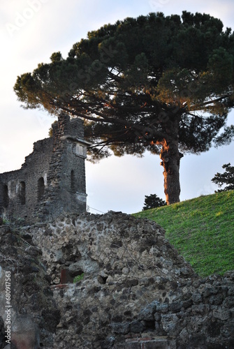 tree and ancient ruins