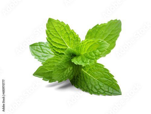 Mint leaf., fresh mint isolated on transparent or white background, png