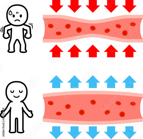 収縮する血管と拡張する血管の図