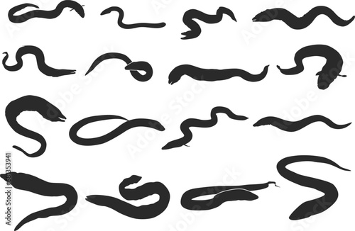 Eel fish silhouette, Moray eel fish silhouette, European eel silhouette, Moray eel fish svg, Eel fish svg, Eel fish vector.