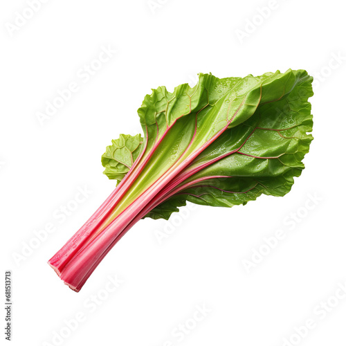 Fresh rhubarb leaf stalks isolated on white background. Generative Ai.