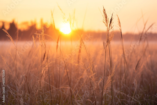 tranquil beauty of tall grass prairie at dawn, embodying gentle rays, rustling grass, and awakening of natural world as new day begins