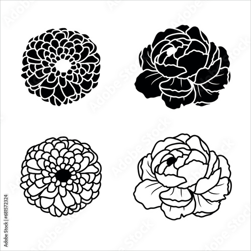 Silhouette and line art of flowers zinnia and peony isolated on white