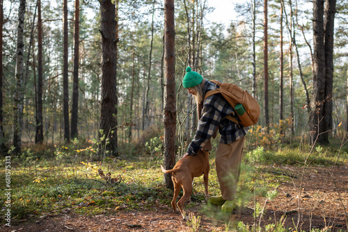 Happy joyful middle-aged pet owner spending pastime in pine forest hiking, walking with dog. Female playing, training pedigree magyar vizsla puppy. Recreation in wild scandinavian intact nature 