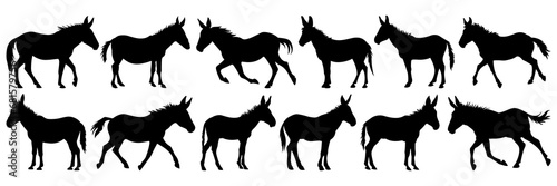 Donkey silhouettes set, large pack of vector silhouette design, isolated white background