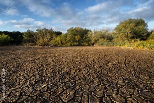 Dry cracked earth in Salburua park, Vitoria-Gasteiz (Spain)