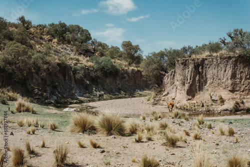 Trekking at Sierra de Tuaní, La Rioja, Argentina