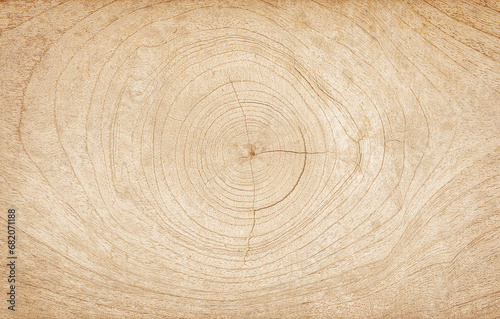 Wood ring texture background, wood planks. Grunge wood, wooden wall pattern