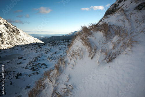 Śnieżna wydma w Tatrach Wysokich. Trawy obsypane śniegiem przypominające nadmorskie wydmy. 