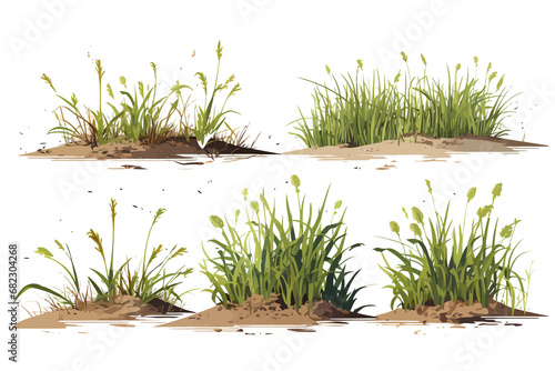 marsh vegetation set isolated vector style with transparent background illustration