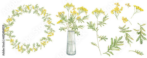 Watercolor common tansy. Set of yellow field flowers and wreath. Bouquet with glass vase. Hand drawn illustration isolated on white background. Bundle botanical medicinal wildflowers clipart. Elements