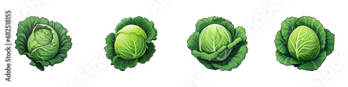 Cartoon cabbage set. Vector illustration