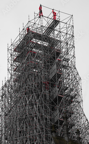 Paris, chantier, bâtiments, notre-dame de Paris, isolé, feuille, nature, arbre, gros plan