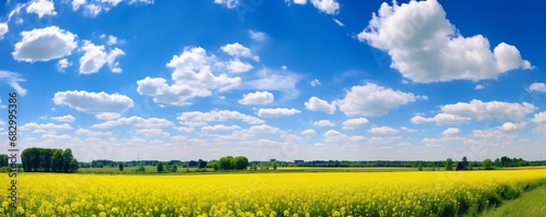 Summer field with yellow little flowers framed bij big imposant trees and a diep blue sky with fluffy clouds