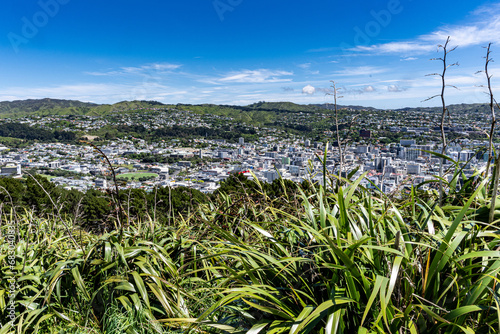 Mt. Victoria in Wellington New Zealand