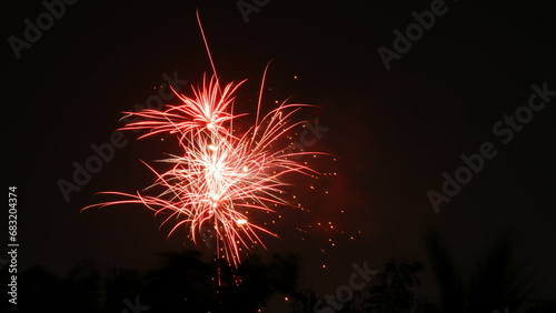 Fire crackers bursting in the air during Diwali