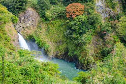 秋の数鹿流ヶ滝 熊本県阿蘇郡 Sugaruga Falls in autumn. Kumamoto Pref, Aso-gun.