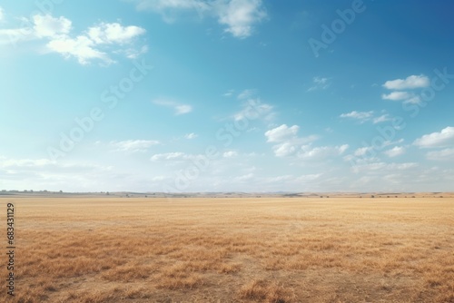 A picture of a field covered in dry grass with a clear blue sky in the background. This image can be used to depict the beauty of nature and the changing seasons