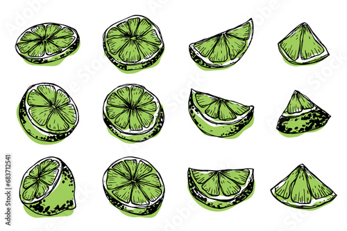 Vector lime clipart. Hand drawn citrus set. Fruit illustration. For print, web, design, decor