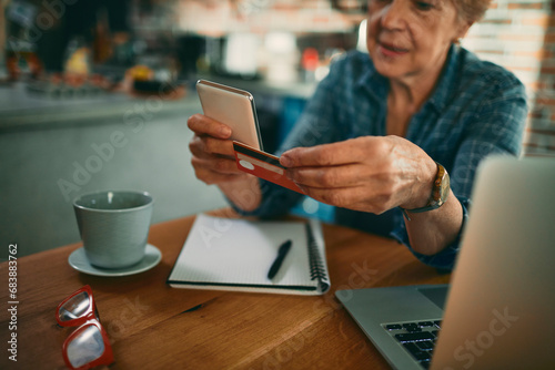 Senior Woman Shopping Online, Engaging in E-commerce from Home