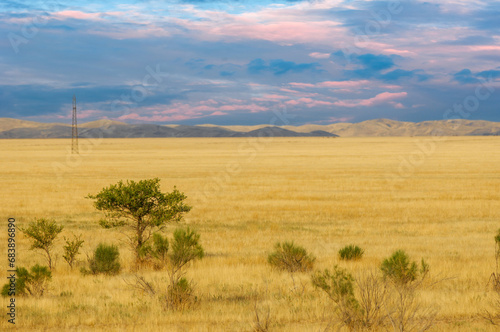 Steppe, prairie, plain, pampa. Witness nature's masterpiece unfold as the sun disappears behind the majestic desert horizon, leaving us in awe of its beauty. Nature Perfection