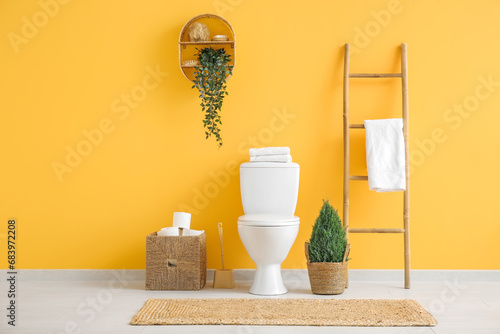 Stylish interior of restroom with potted plant and toilet paper rolls