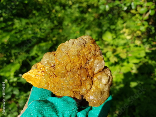 A lumpy quartz nodule in the hand found in nature, searching for stones and minerals. Kaluga region, Russia