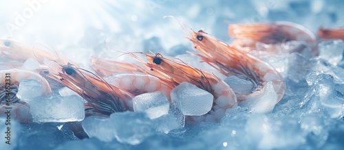 Close up of frozen shrimps dry freezed seafood delicacies with selective focus copy space image