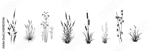 Cattail, reeds, cane, bamboo, butomus, sedge, rushwort, marsh bluegrass and other swamp grass, isolated on a white background. Marsh (pond, river) coastal plants vector silhouette drawings set.