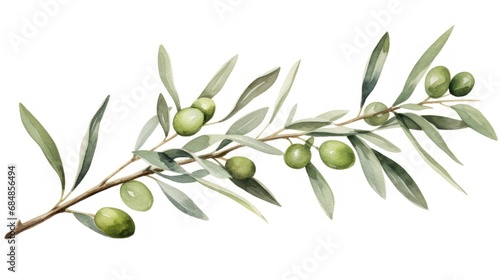 Watercolor Olive Floral Illustration: Olive Branches for Wedding Stationery, Greetings, Wallpapers, Fashion Backgrounds AI Generated