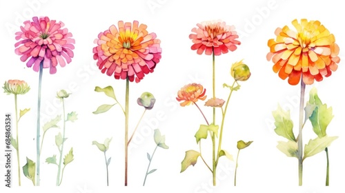 Set of Three Watercolor Zinnia Flowers in a Field AI Generated