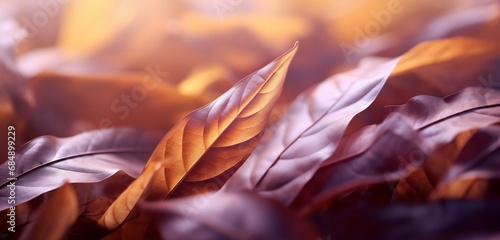Extreme close-up of abstract blurred autumn leaves, deep plum and goldenrod hues, in the style of gradient blurred wallpapers, depth of field, serene visuals, minimalistic simplicity, close-up