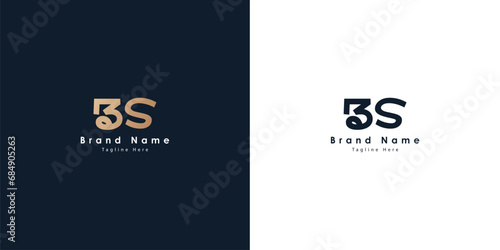 BS Logo design in Chinese letters