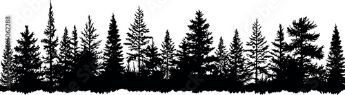A set of coniferous fir trees silhouettes standing tall, creating a serene and majestic horizontal view. Generative AI