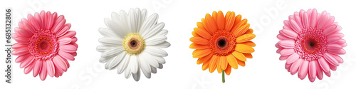 Gerbera Daisy clipart collection, vector, icons isolated on transparent background