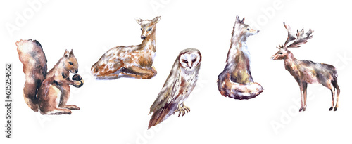 watercolor animals set squirrel, fox, deer, owl, elk mammal winter set