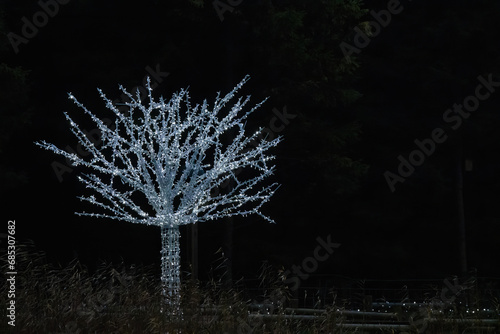 artificial led light illuminated tree at night