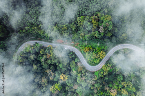 Forest road and morning fog, high angle