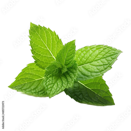 Mint Leaf