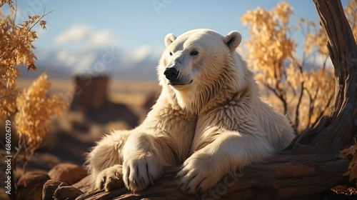 Polar bear Ursus maritimus sitting on tundra in the wild. Generative AI